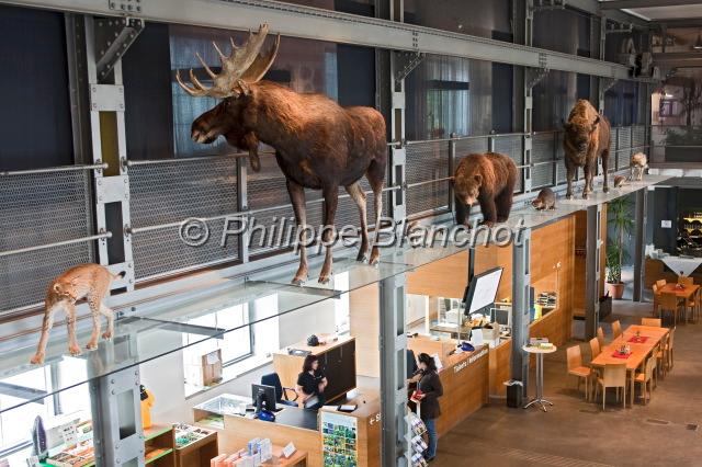 autriche vorarlberg 24.JPG - Entrée du musée  de la nature (Museum inatura), Dornbirn, Vorarlberg, Autriche